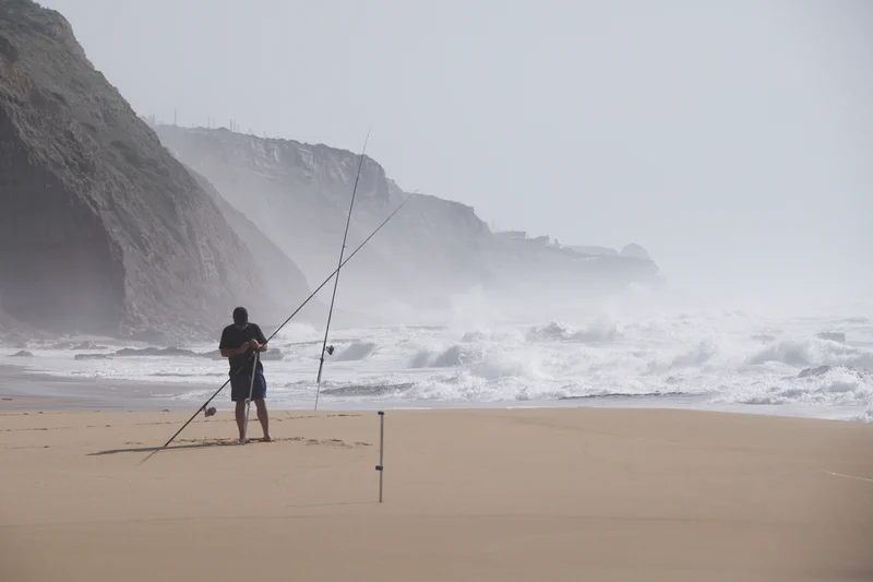 Endless coasts