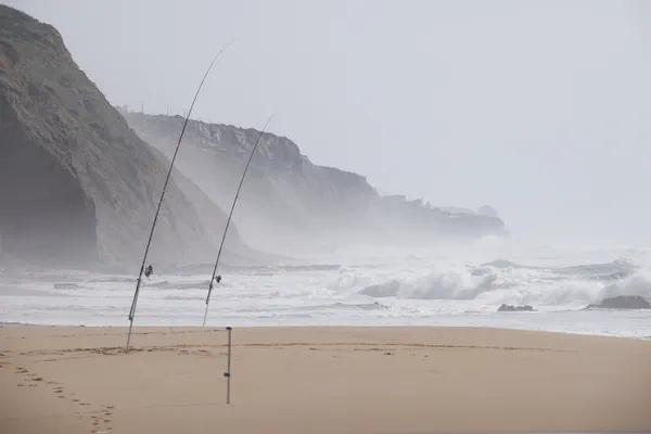 Endless coasts