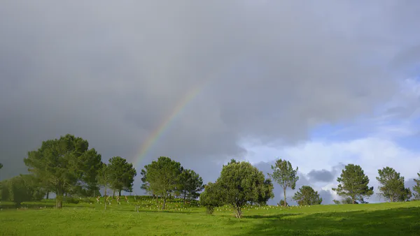 Farm Walks