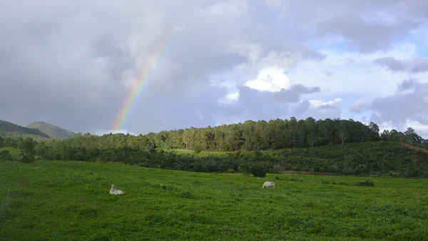 Farm Walks