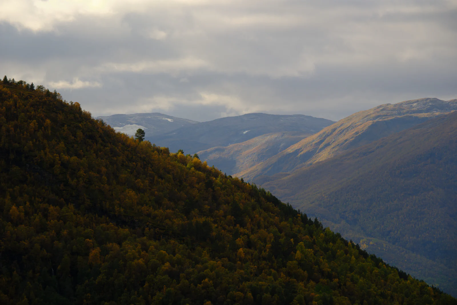 Mountains and forest above Aurland