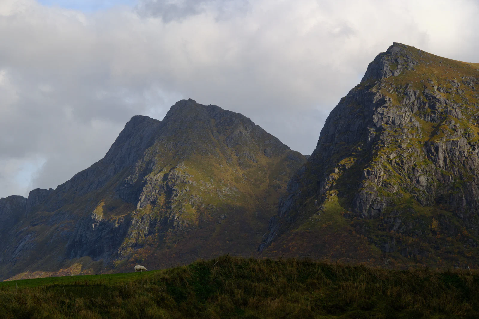 Rocky peaks in Lofoten