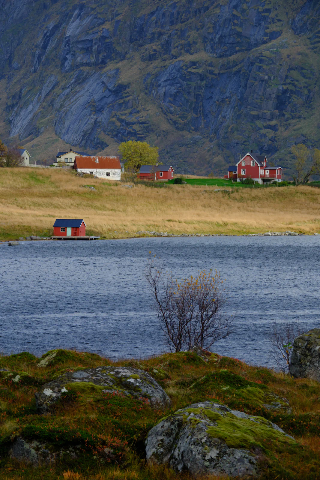 Red cabins by a bay