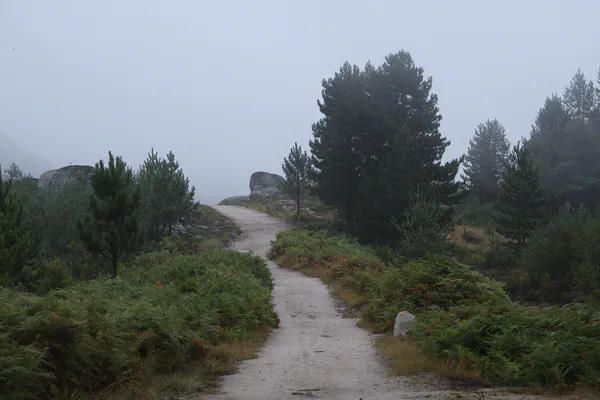 Parks in Vila Real
