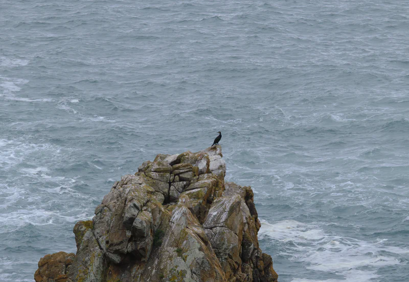 Porto do Touro