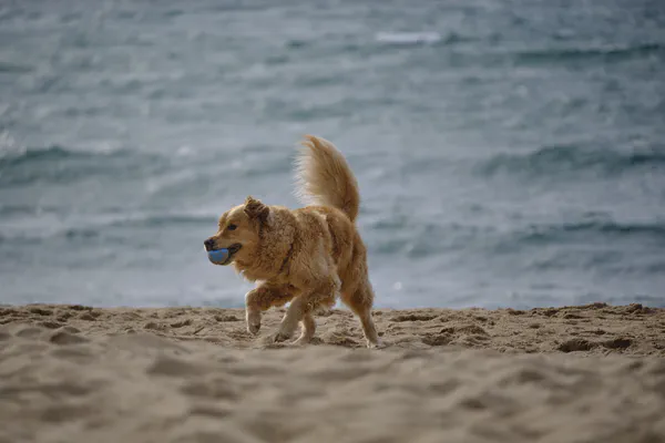 Running a round