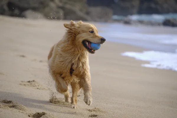 Running a round