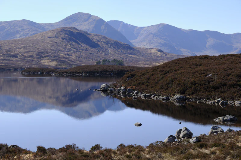 Scotland