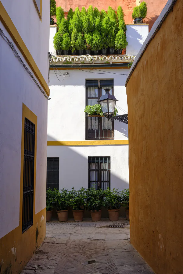 Seville