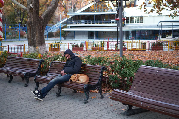 The Streets of Yerevan